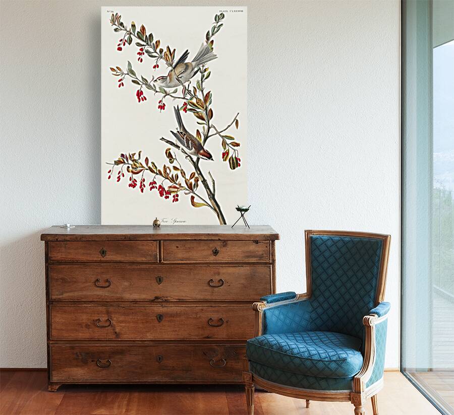 Tree Sparrow Reproduction