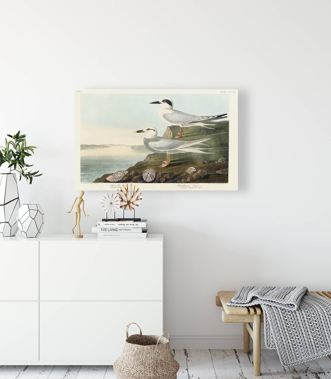 Havells Tern and Trudeaus Tern Reproduction