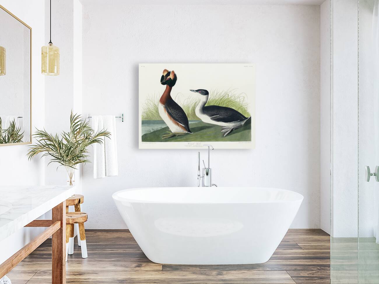 Horned Grebe Reproduction