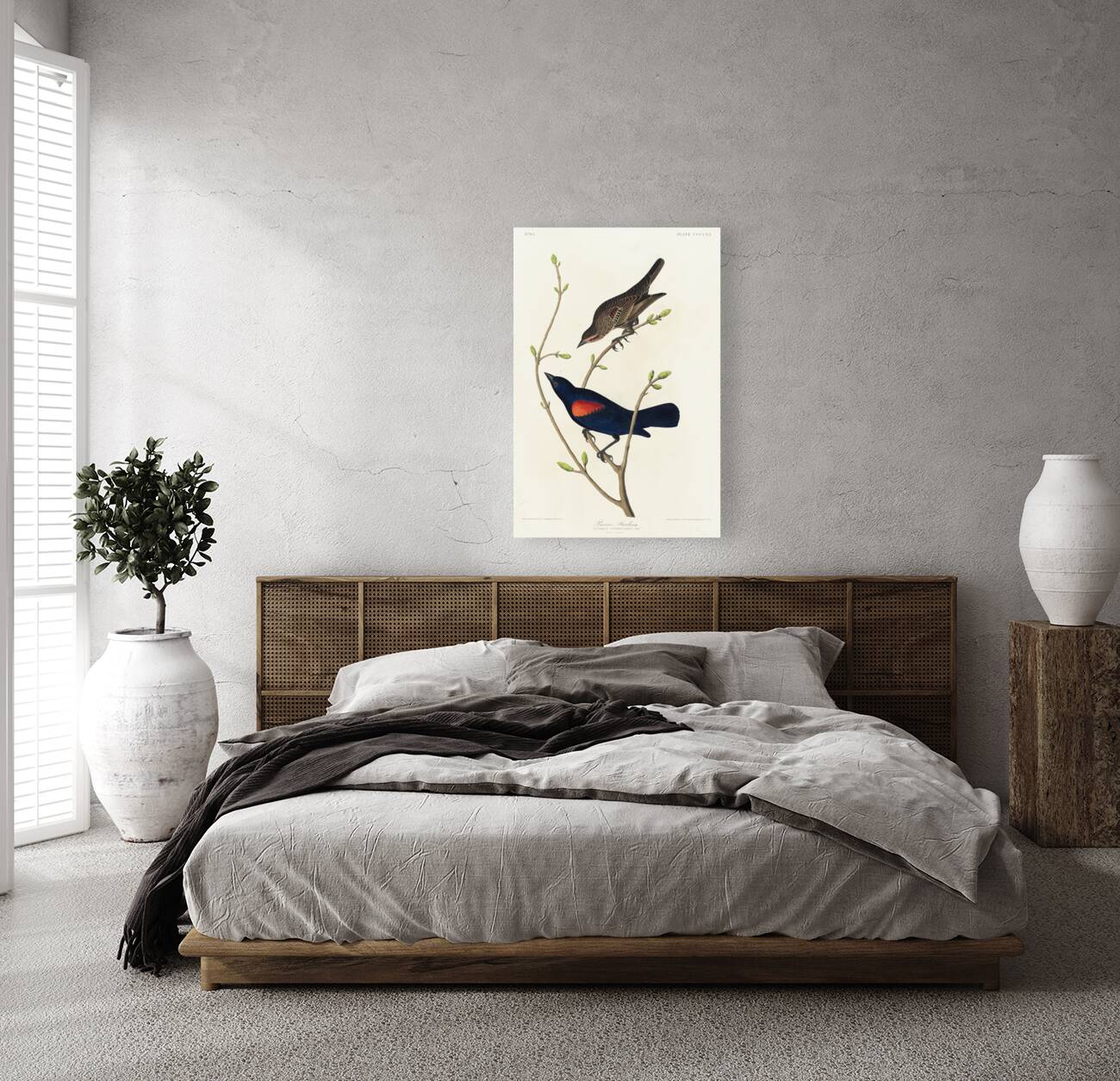 Prairie Starling Reproduction