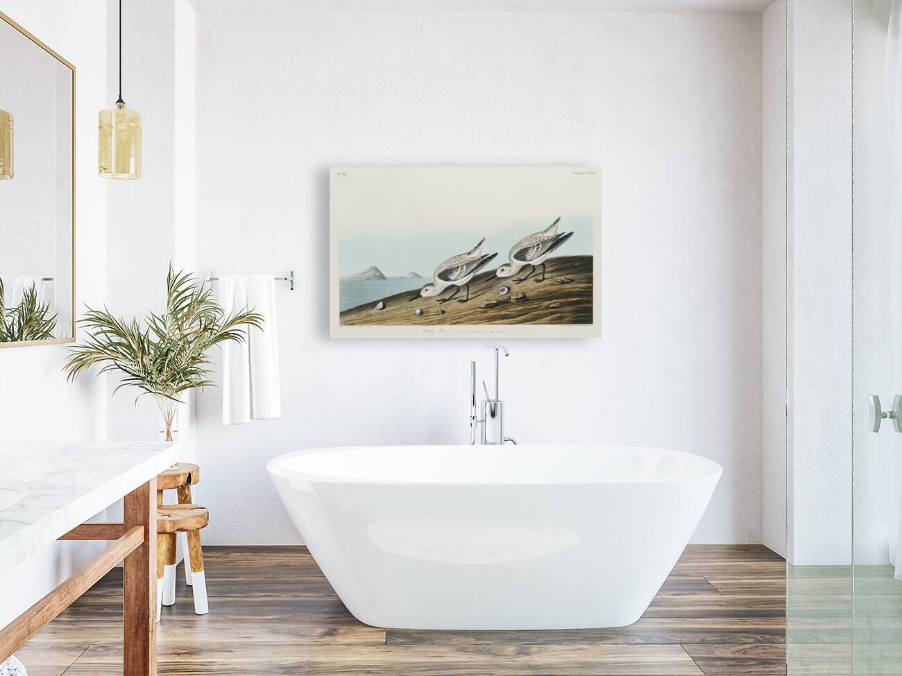 Sanderling Reproduction