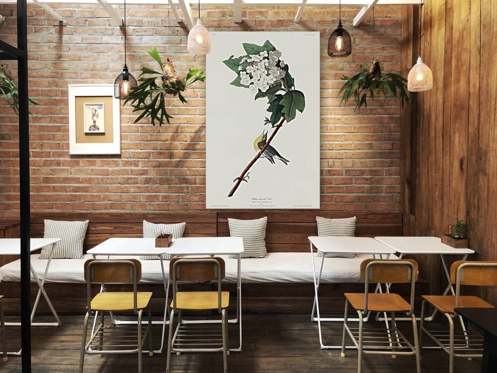 Yellow-throated Vireo Reproduction