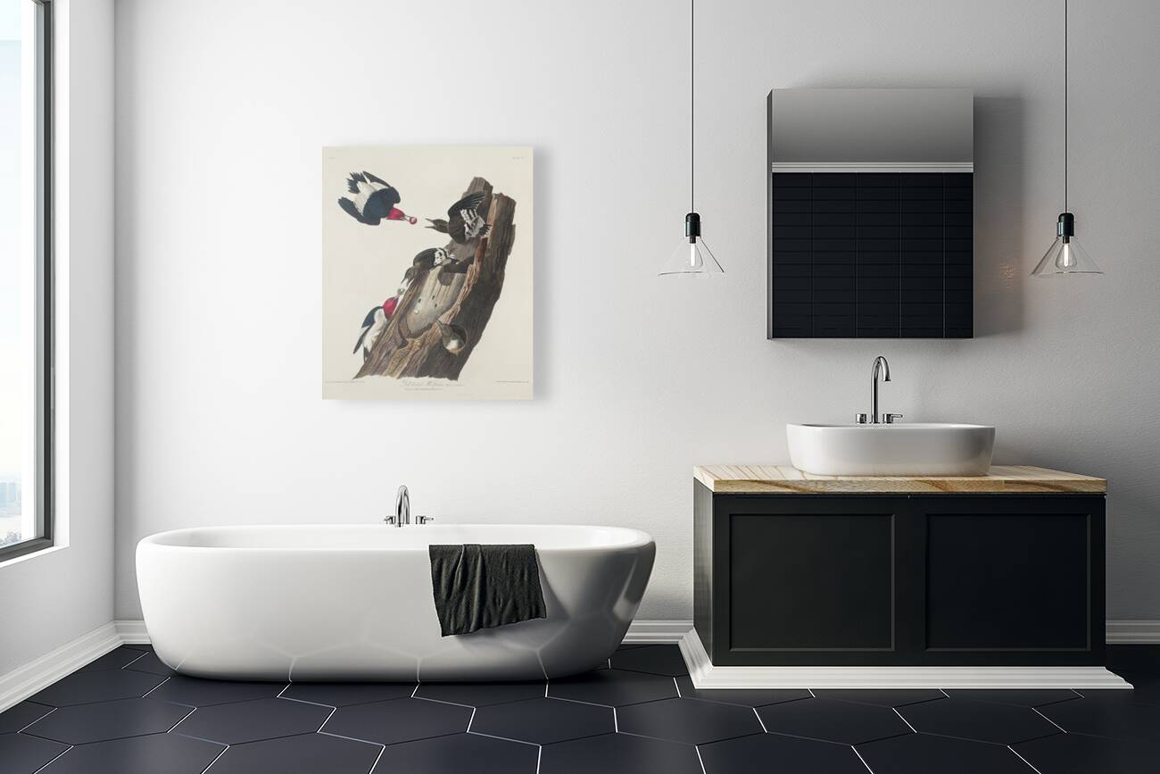 Red-headed Woodpecker Reproduction