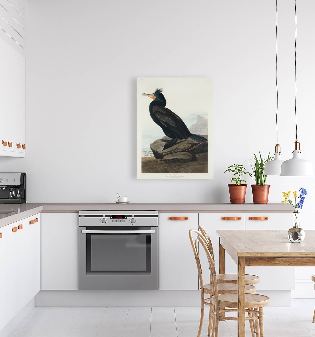 Double-crested Cormorant Reproduction