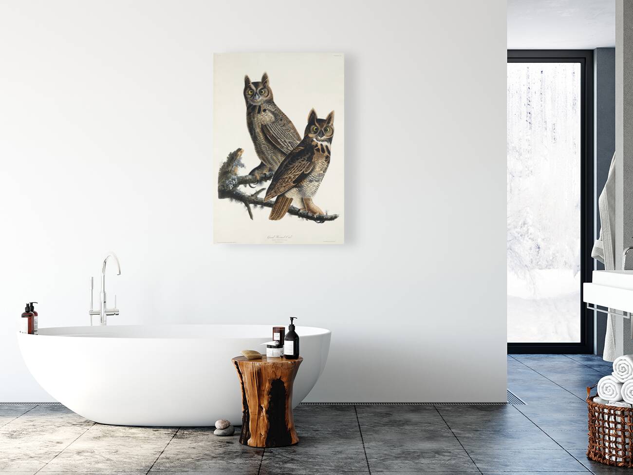 Great Horned Owl Reproduction