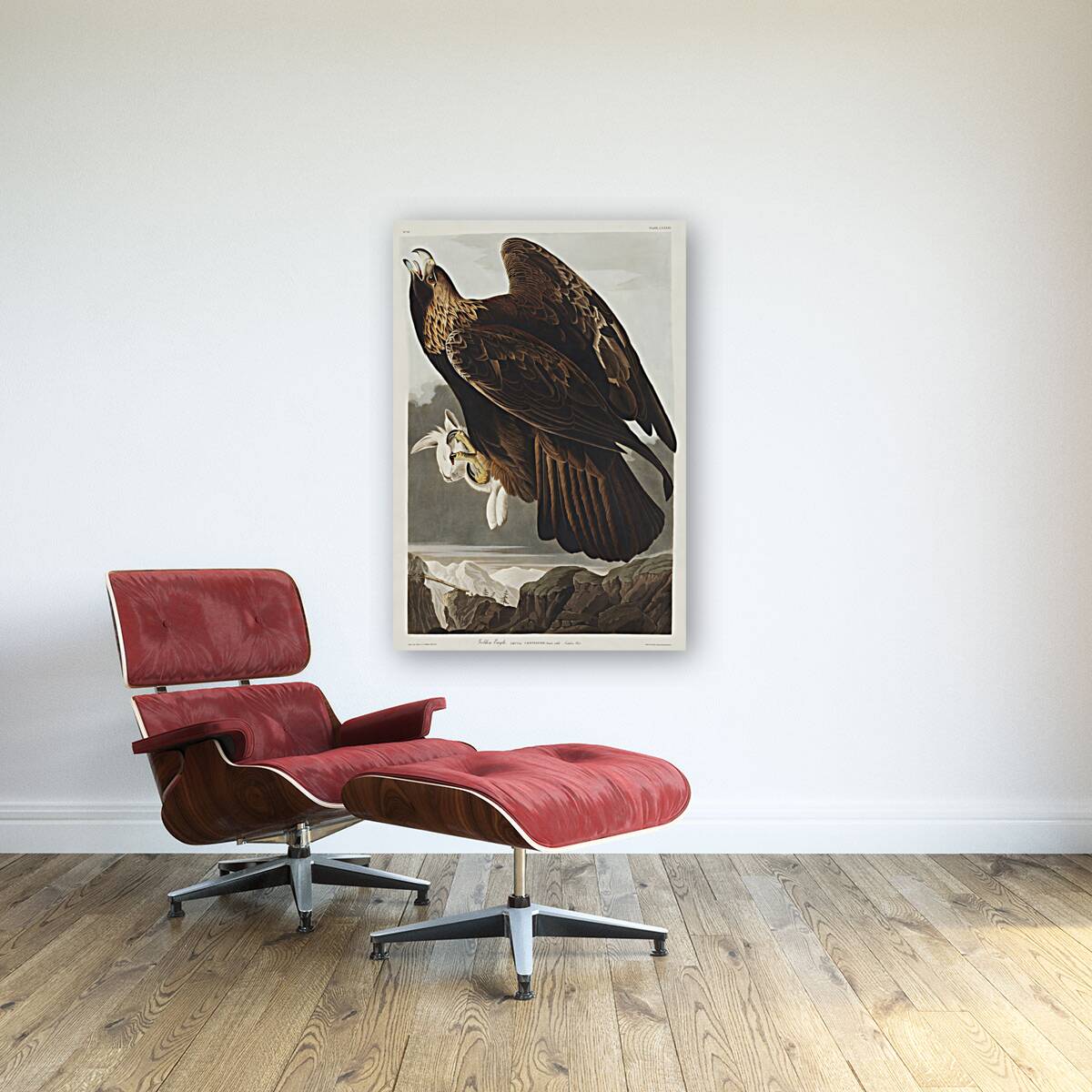 Golden Eagle Reproduction