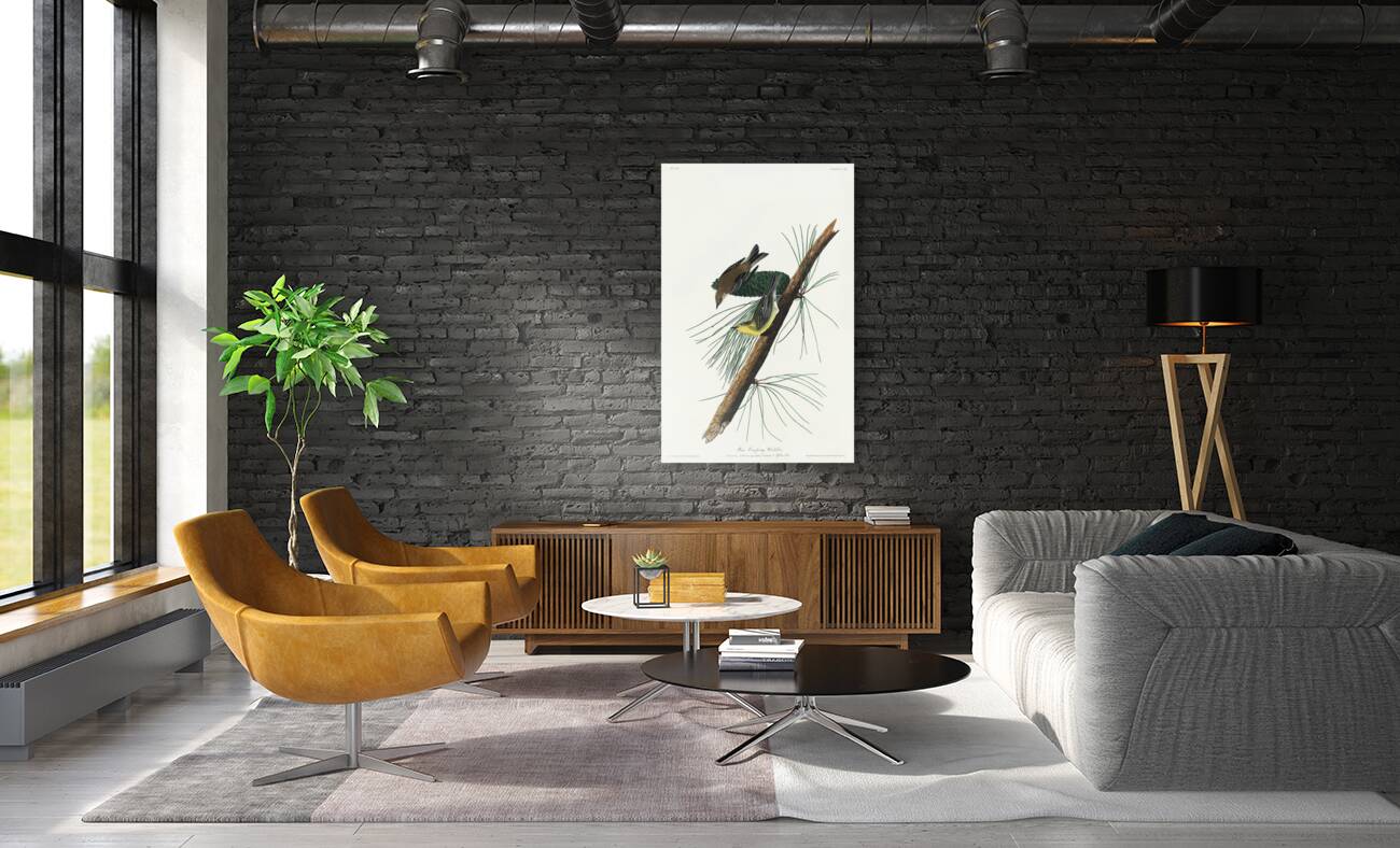 Pine Creeping Warbler Reproduction