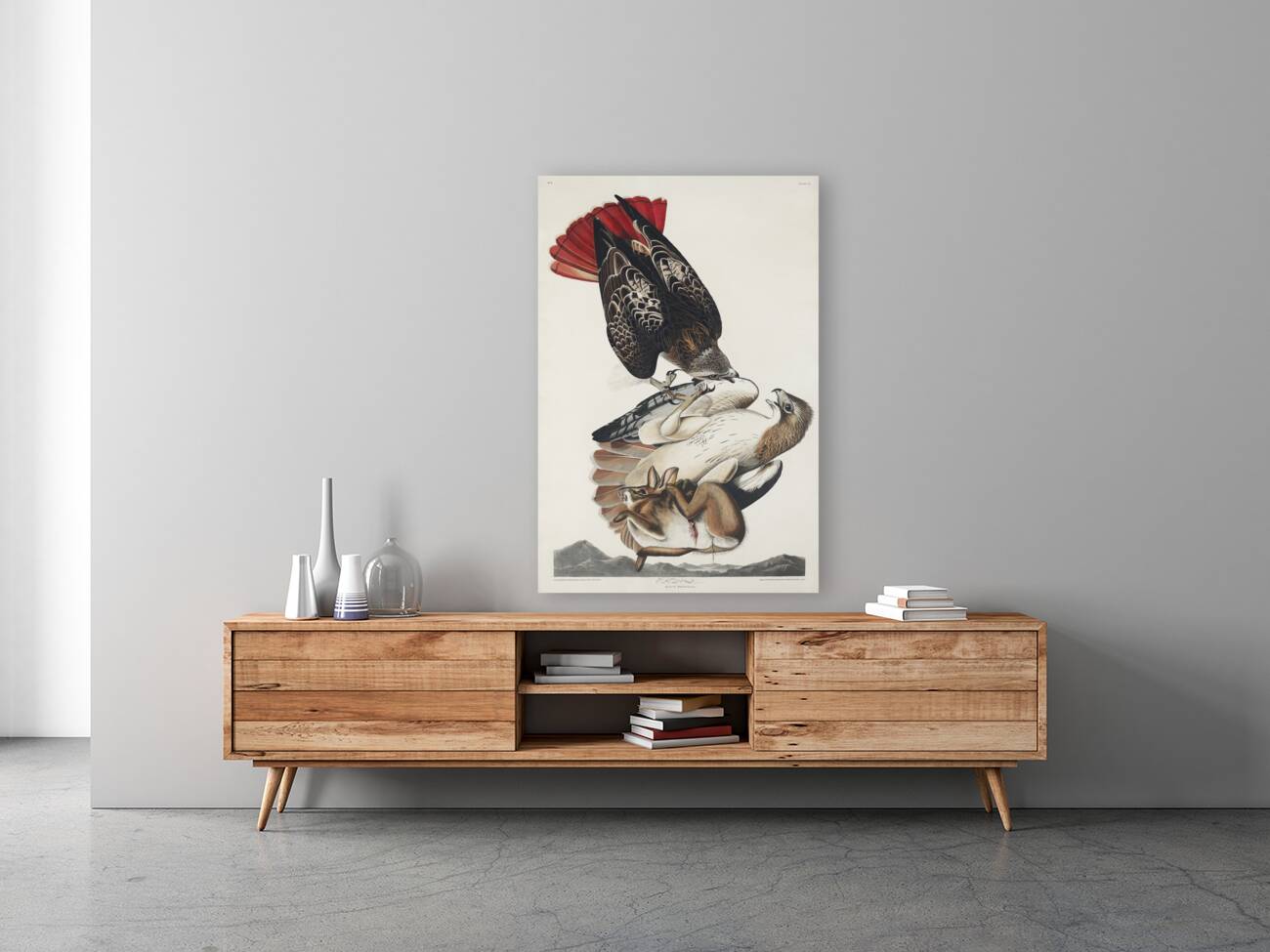 Red-tailed Hawk Reproduction