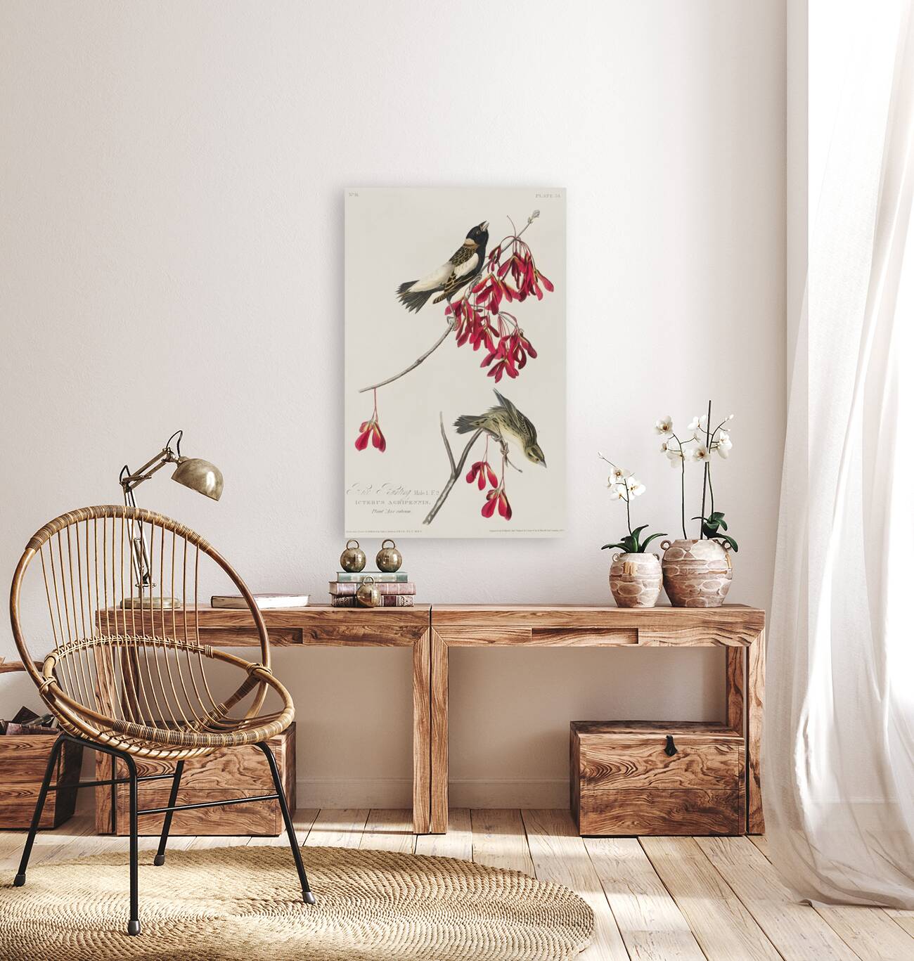 Rice Bird Reproduction