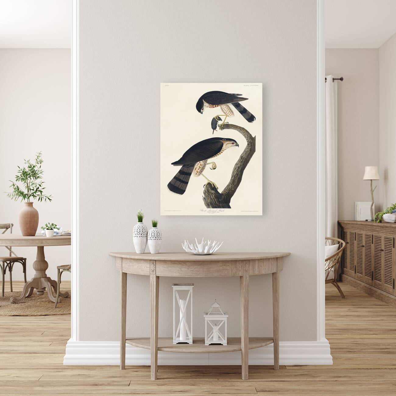 Sharp-shinned Hawk Reproduction