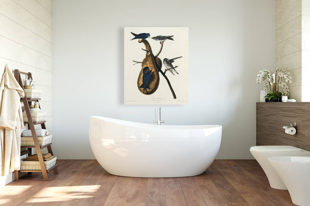 Purple Martin Reproduction