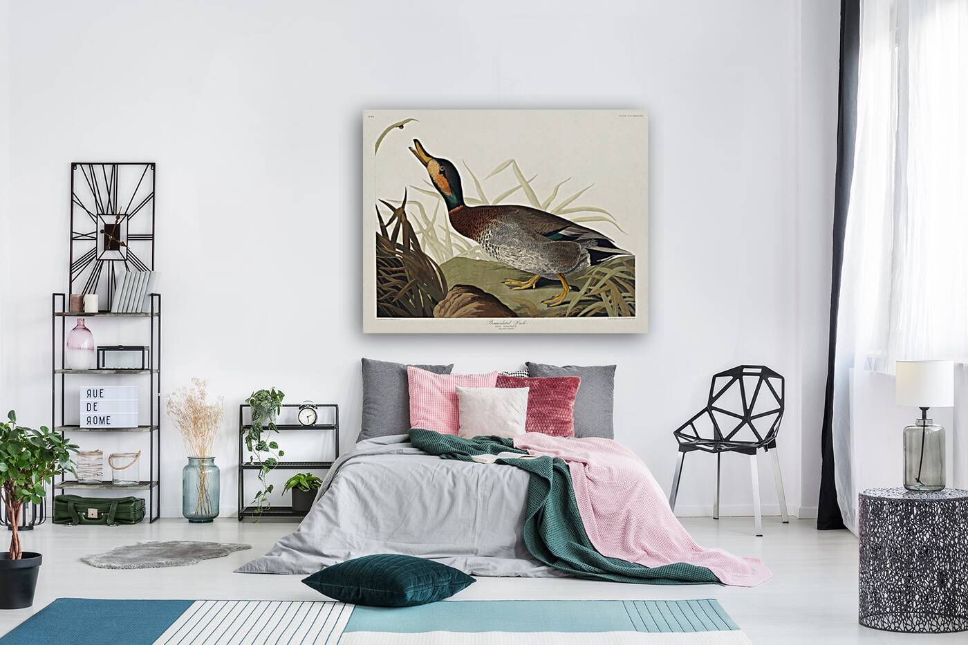 Bemaculated Duck Reproduction