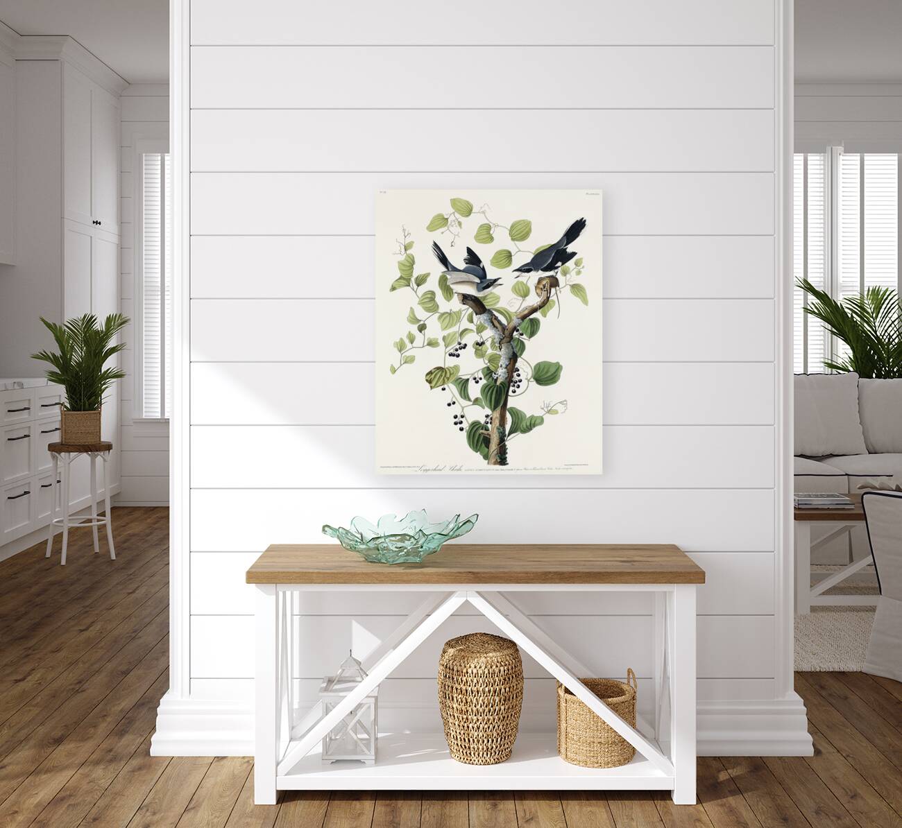 Loggerhead Shrike Reproduction