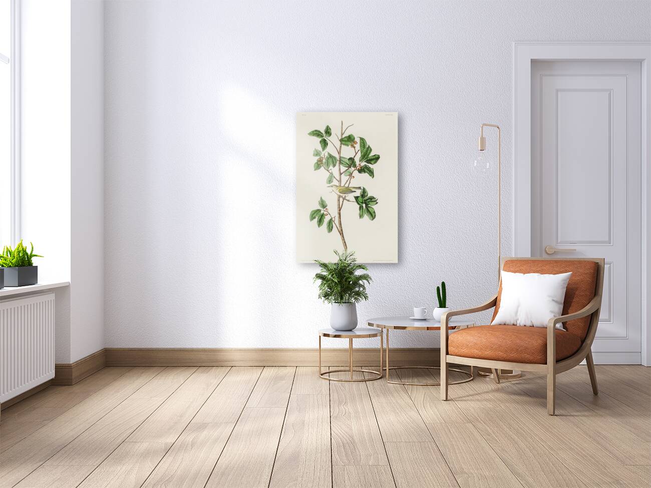 Tennessee Warbler Reproduction