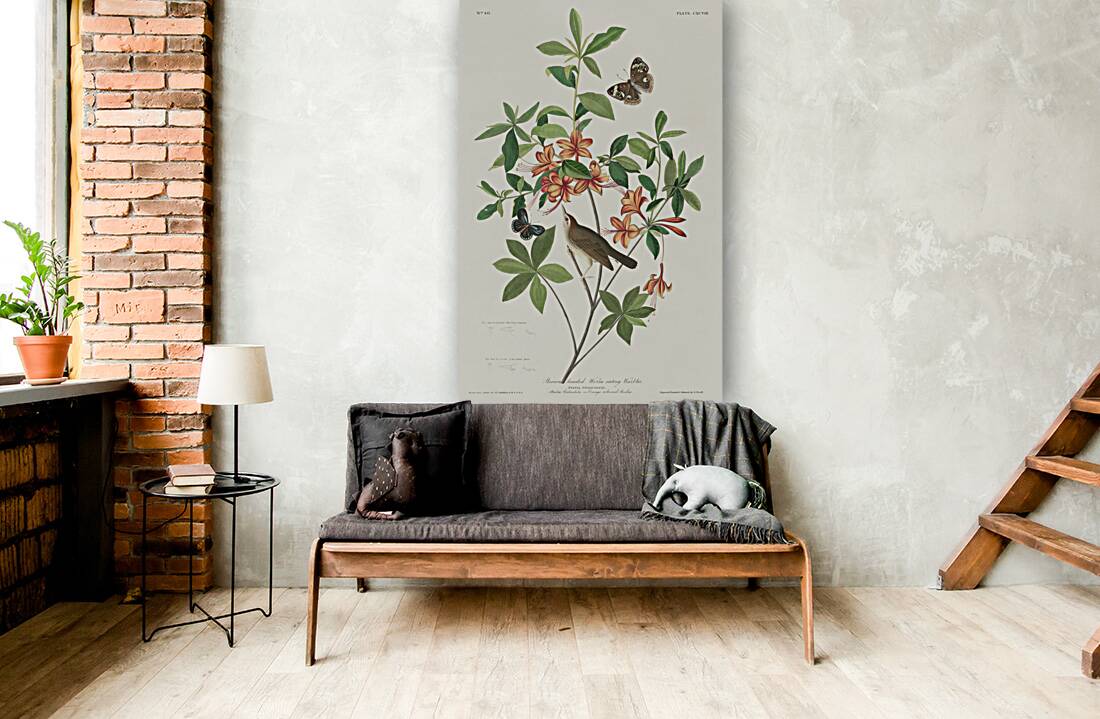 Brown headed Worm eating Warbler Reproduction