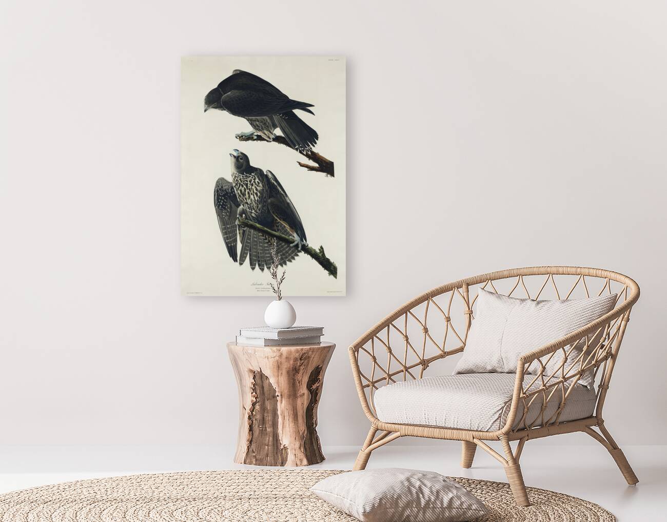 Labrador Falcon Reproduction