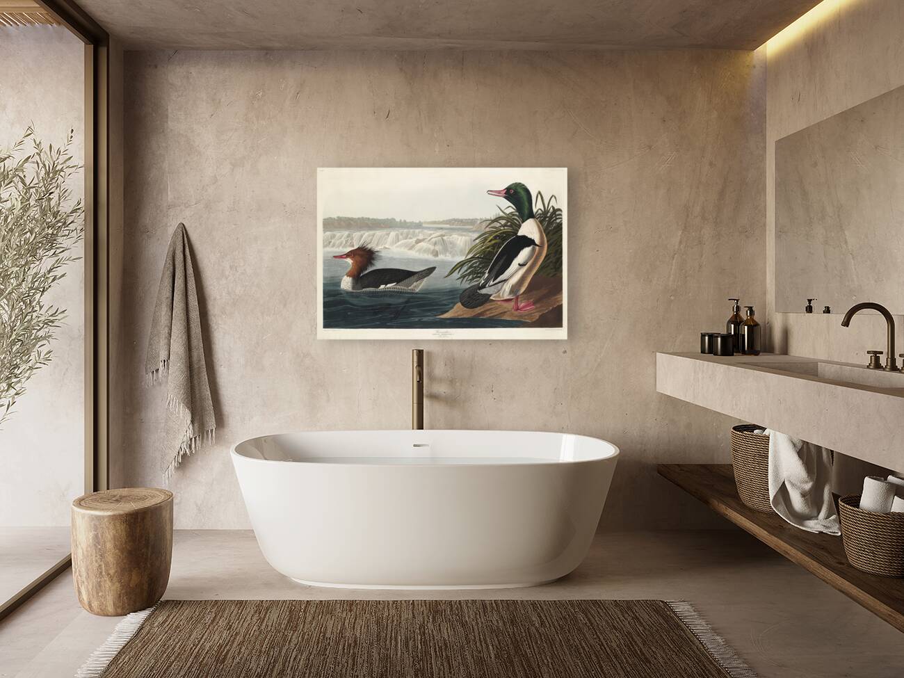 Goosander Reproduction