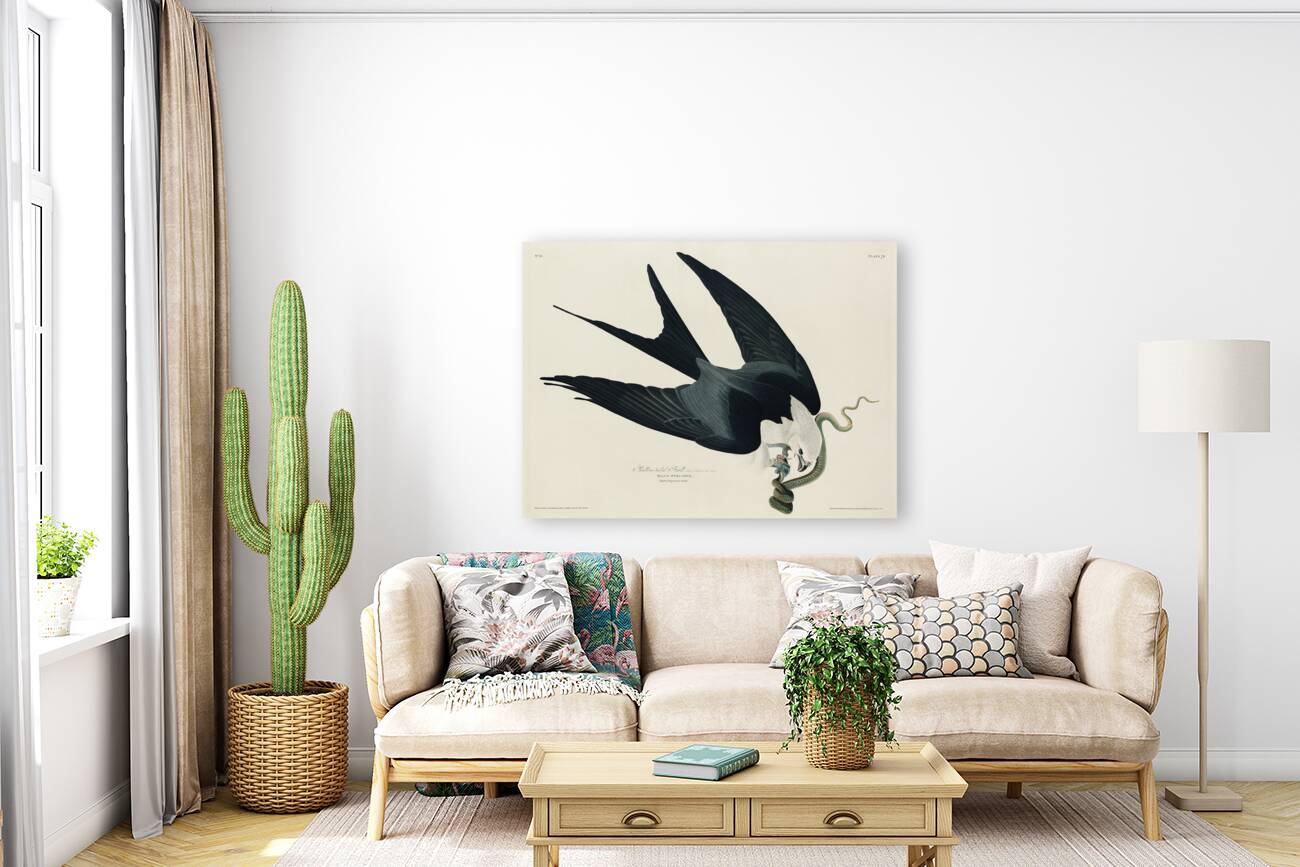 American Magpie Reproduction