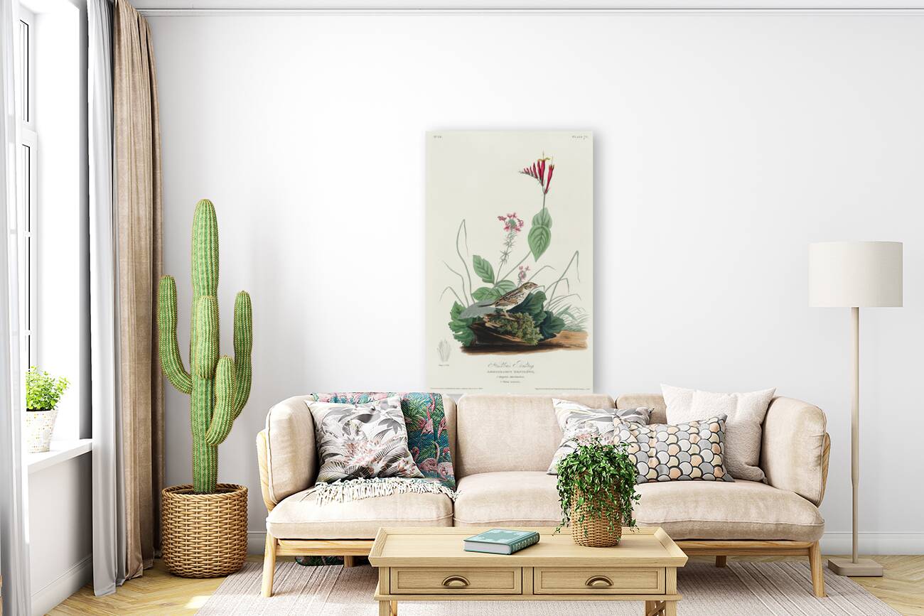 Henslows Bunting Reproduction