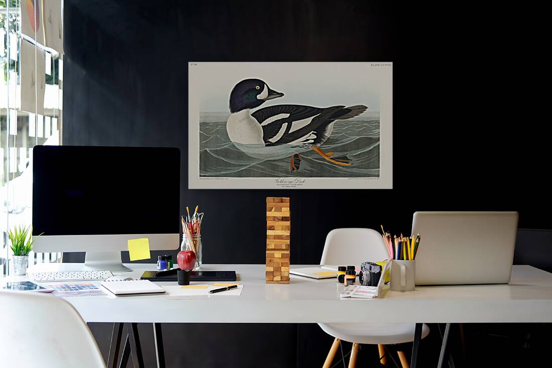 Henslows Bunting Reproduction