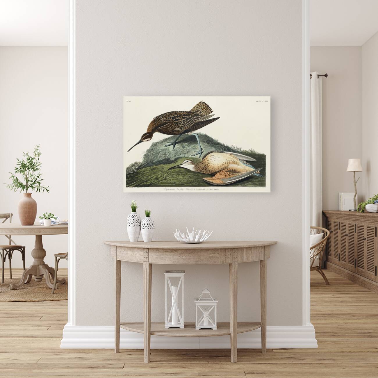 Esquimaux Curlew Reproduction