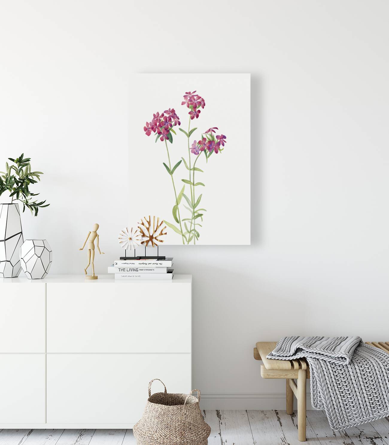 Hairy Phlox Phlox amoena 1930 Reproduction