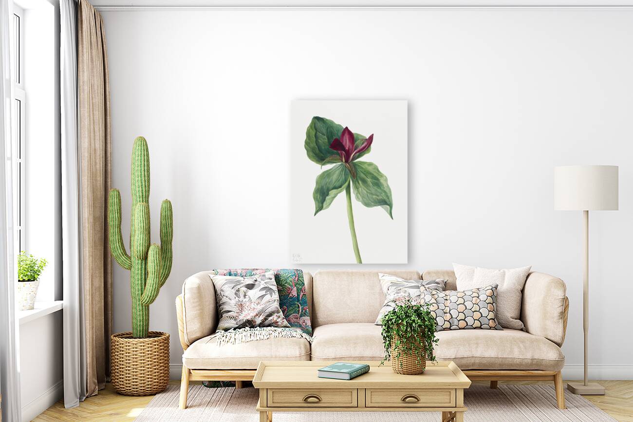 Water Lilies Castalia odorata 1879 Reproduction