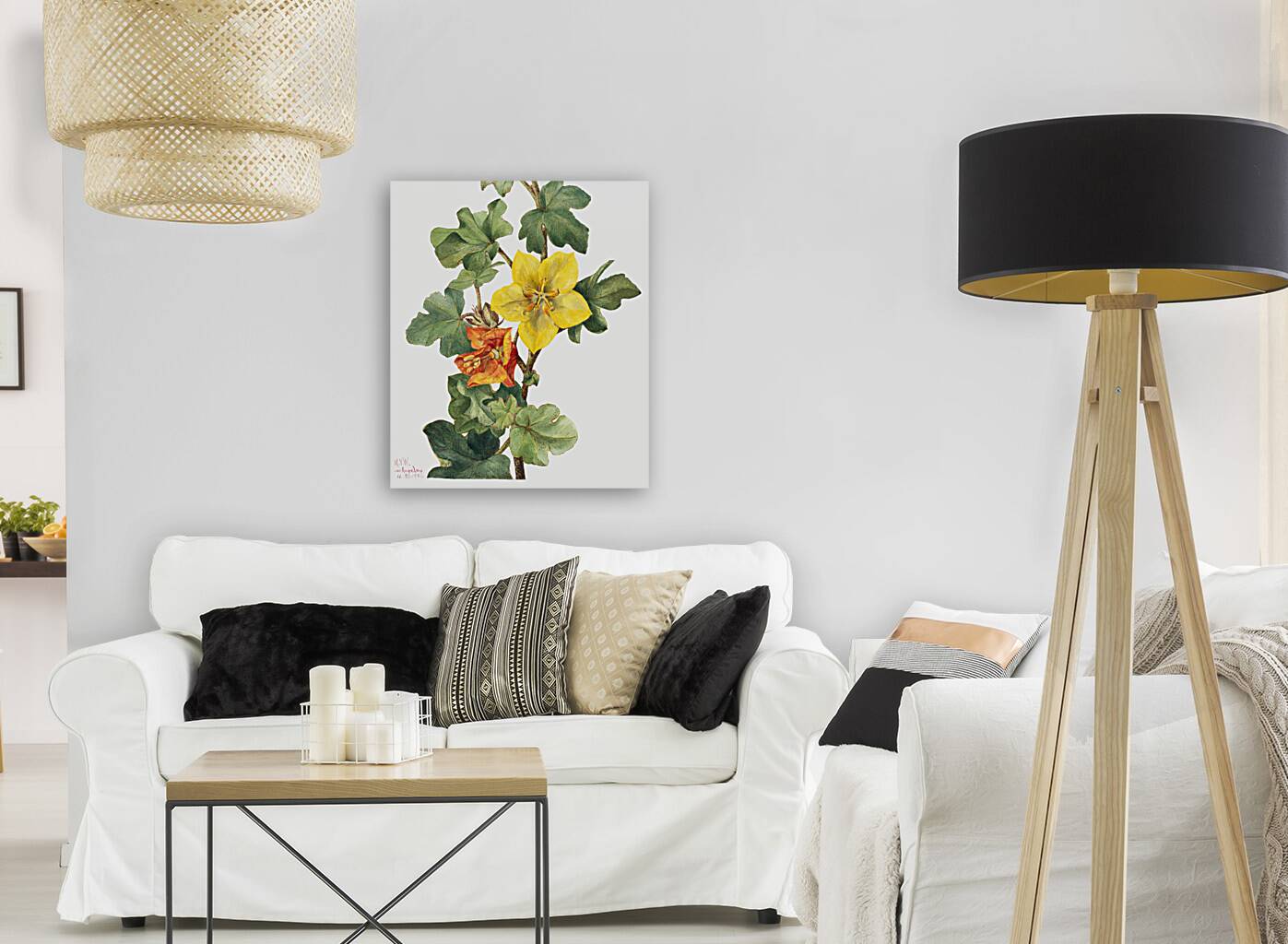 Red Willowweed Epilobium latifolium 1911 Reproduction