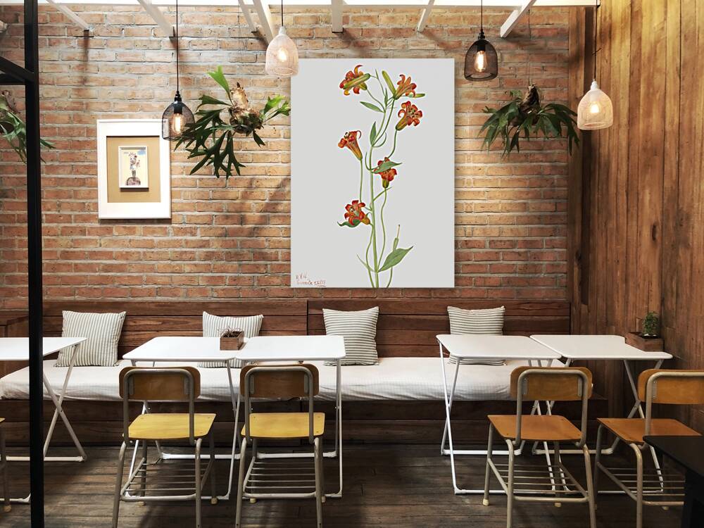 Small Tiger Lily Lilium parvum 1933 Reproduction