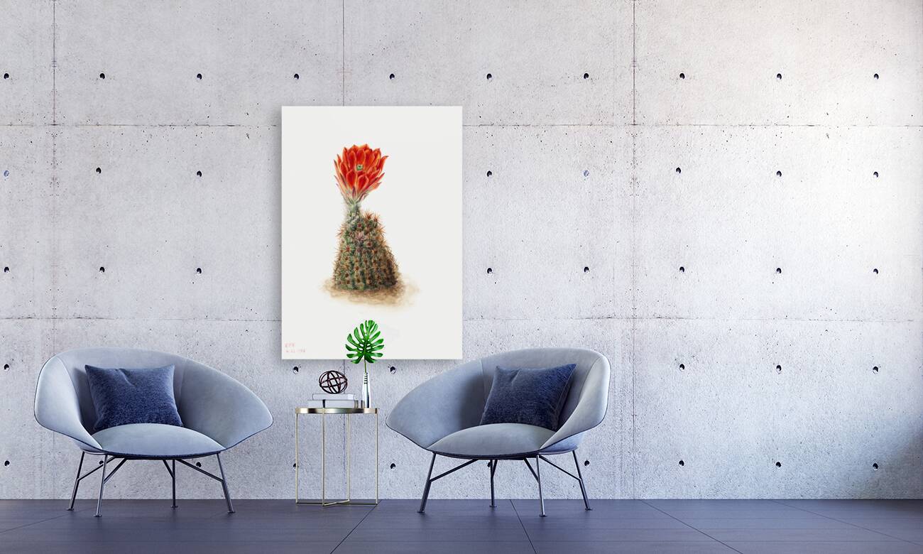 Cucumber Cactus 1939 Reproduction