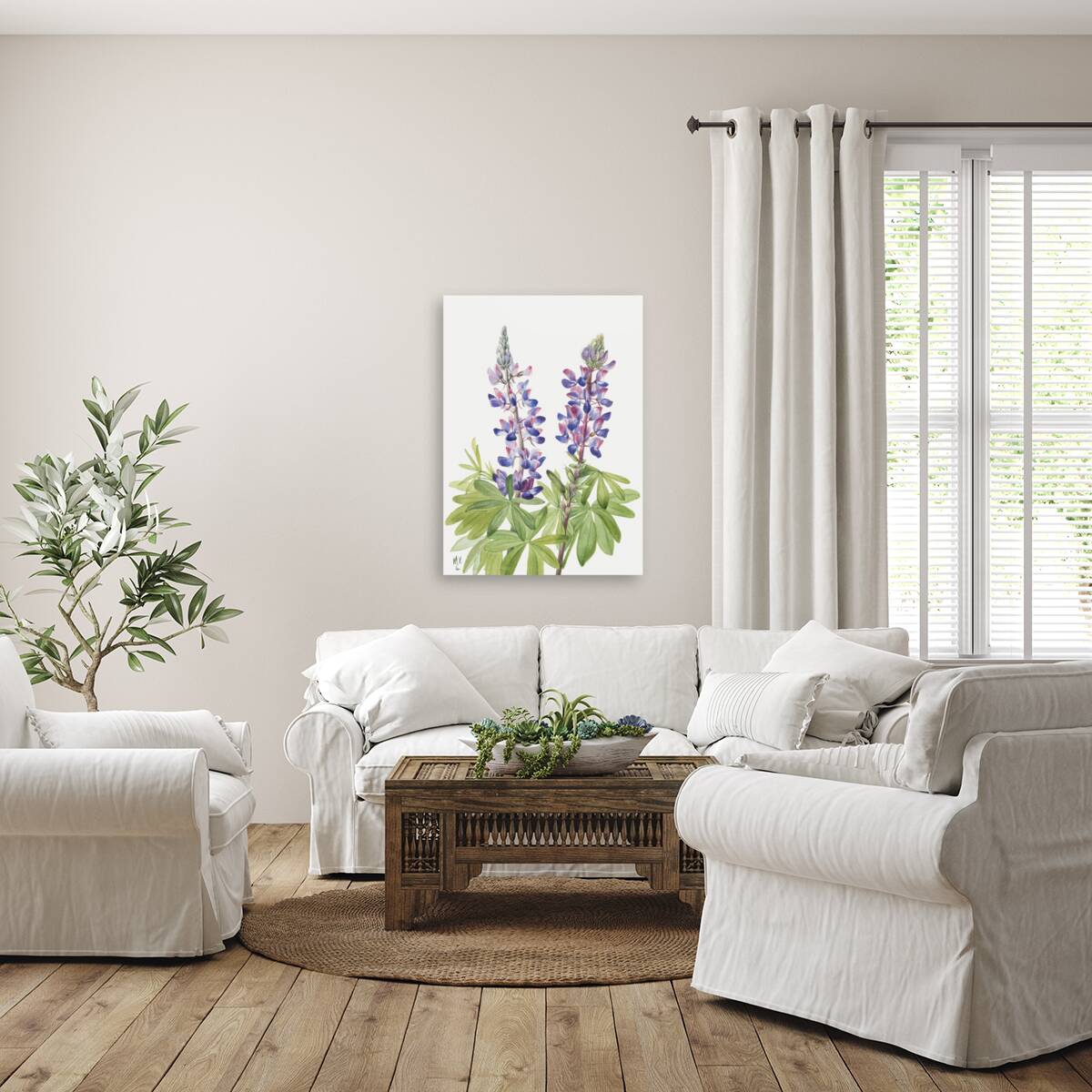 Lupine Lupinus fornosus 1935 Reproduction