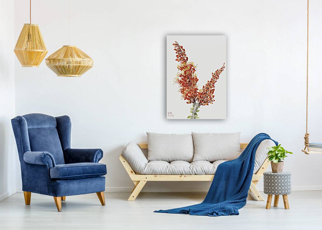 Ocotillo Fouquieria splendens 1927 Reproduction