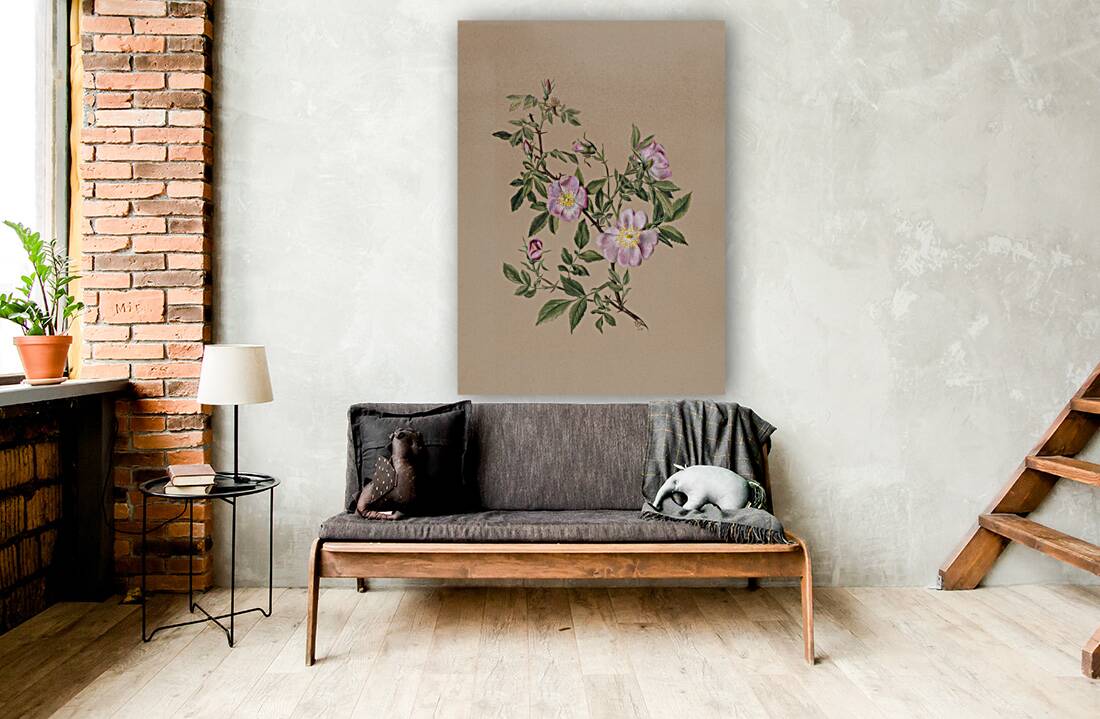 Rose Mallow Hibiscus moscheutos 1878 Reproduction