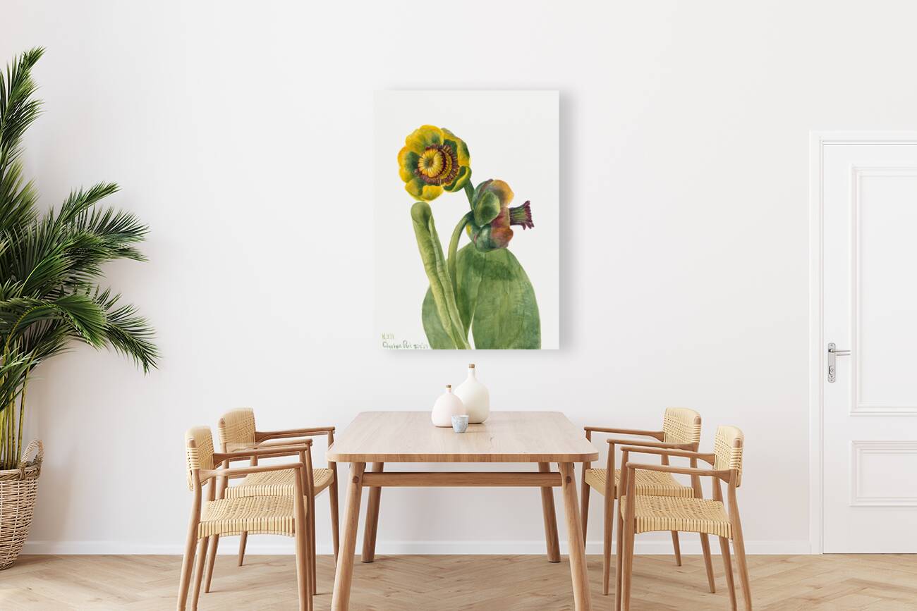 Flower Study 1939 Reproduction