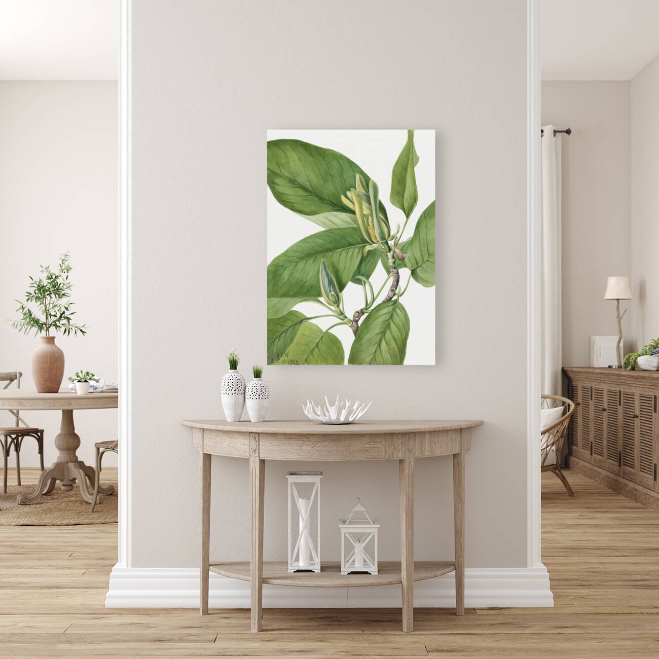 Cucumbertree Magnolia acuminata 1922 Reproduction