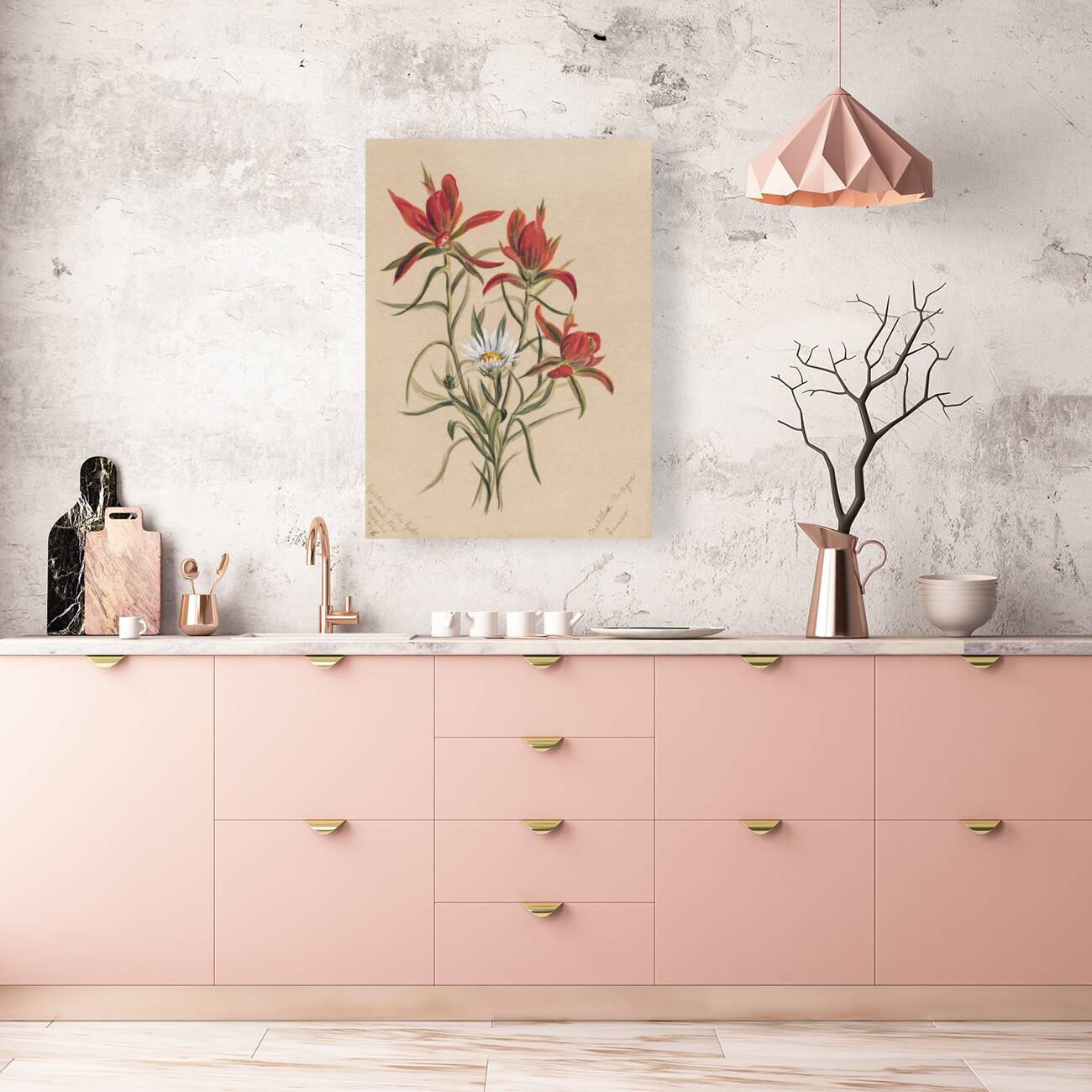 Indian Paintbrush Castilleja rhexifolia 1883 Reproduction