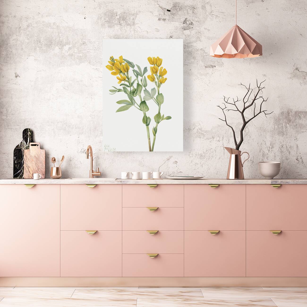 Goldenpea Thermopsis rhombifolia 1923 Reproduction