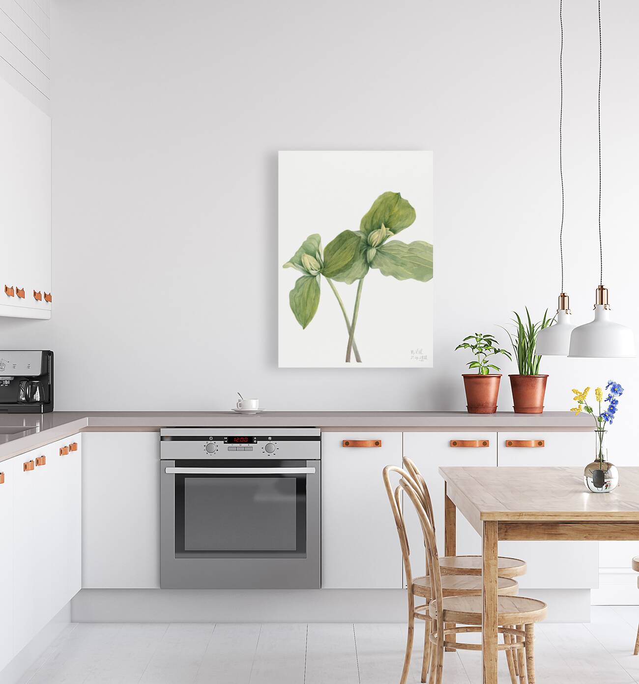 Toad Trillium Trillium sessile 1920 Reproduction