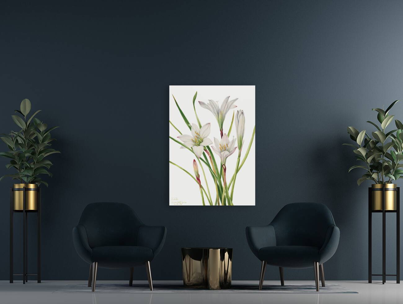 Atamasco Lily Atamosco atamasco 1925 Reproduction