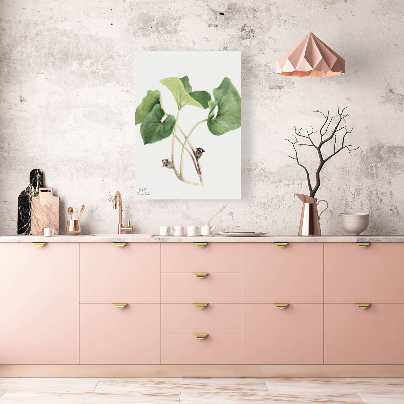 Maypop Passiflora incarnata 1926 Reproduction