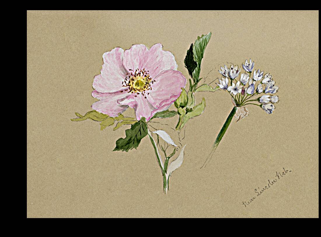 Flower Study 1876–1878 Reproduction