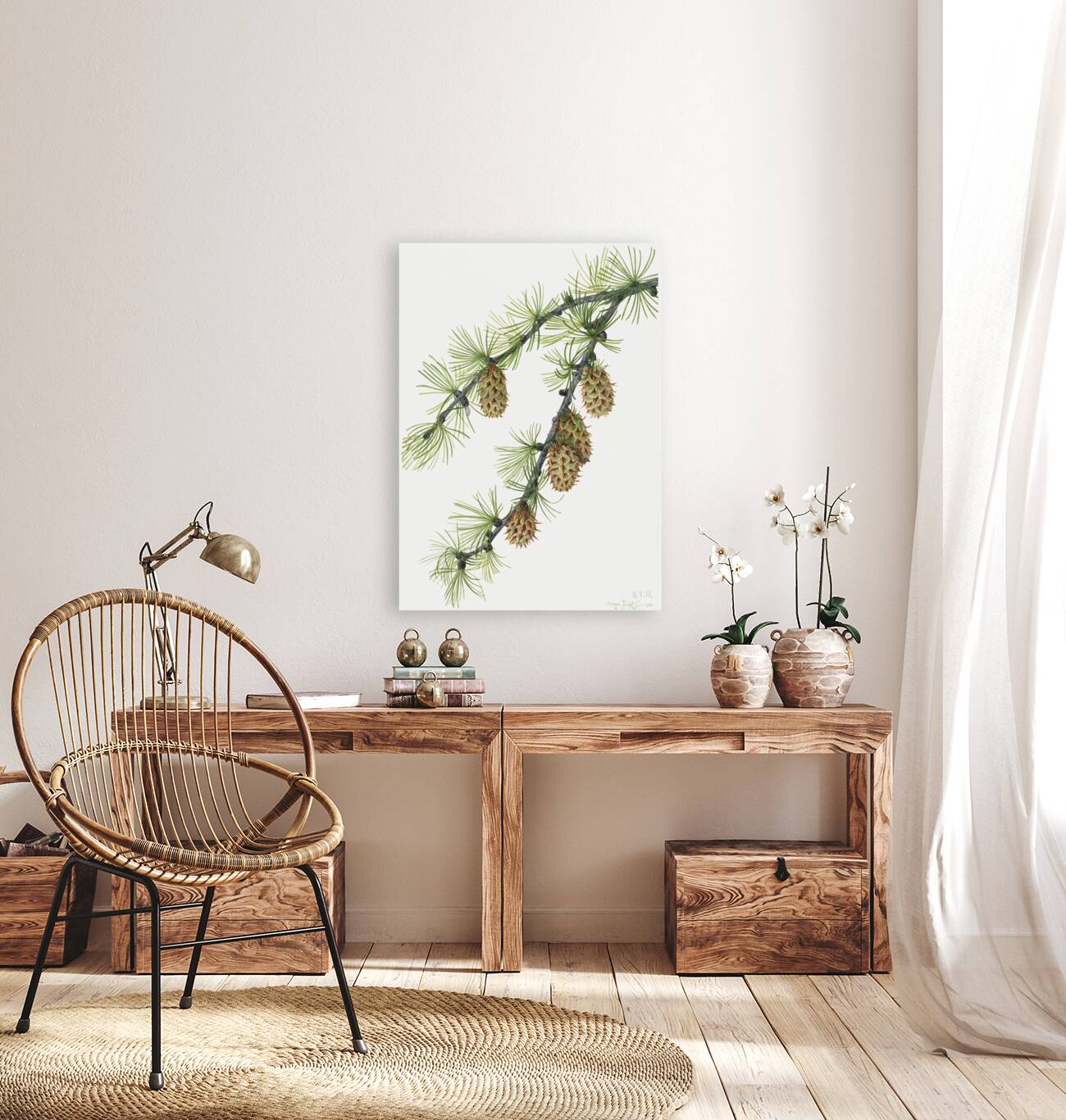 Western Larch Larix occidentalis 1923 Reproduction