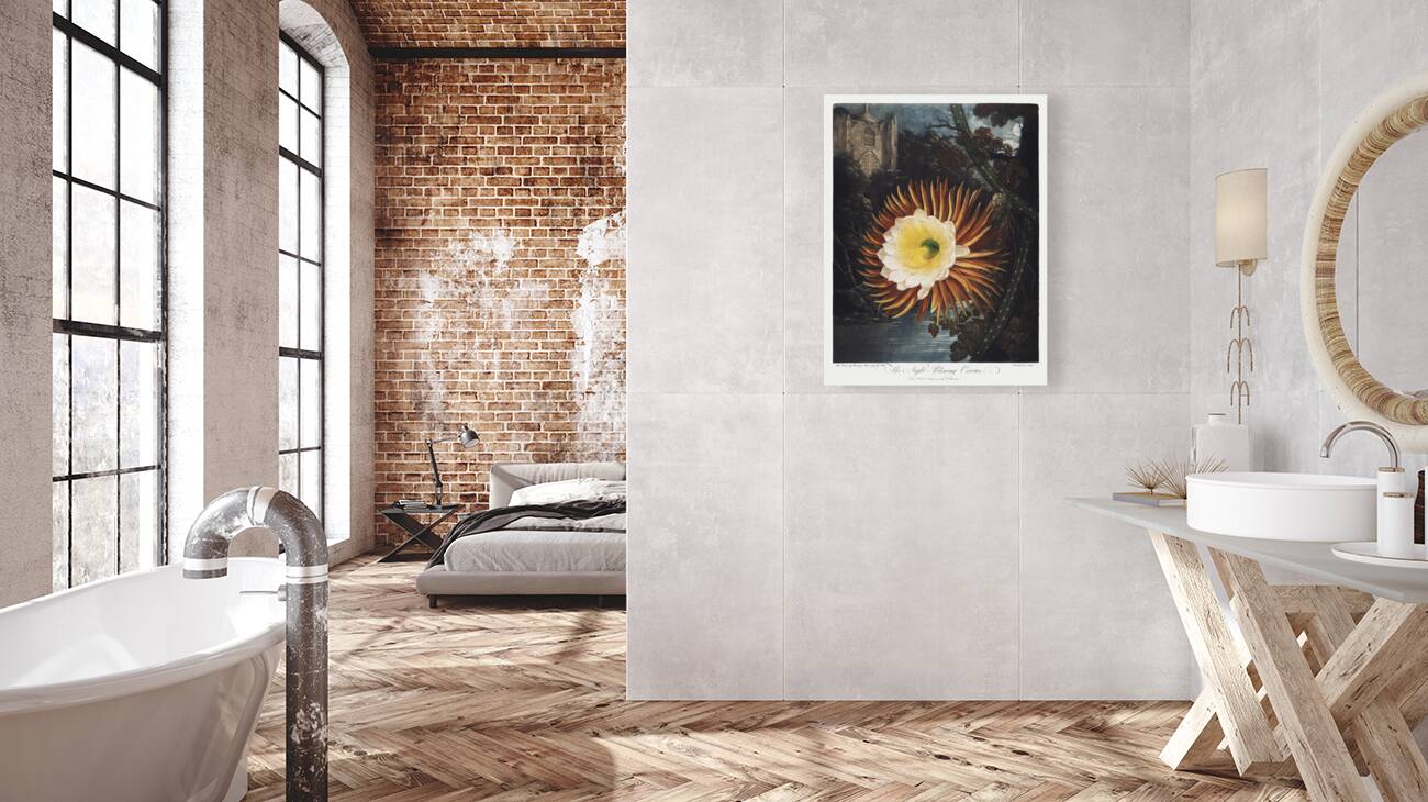 The Night–Blowing Cereus Reproduction