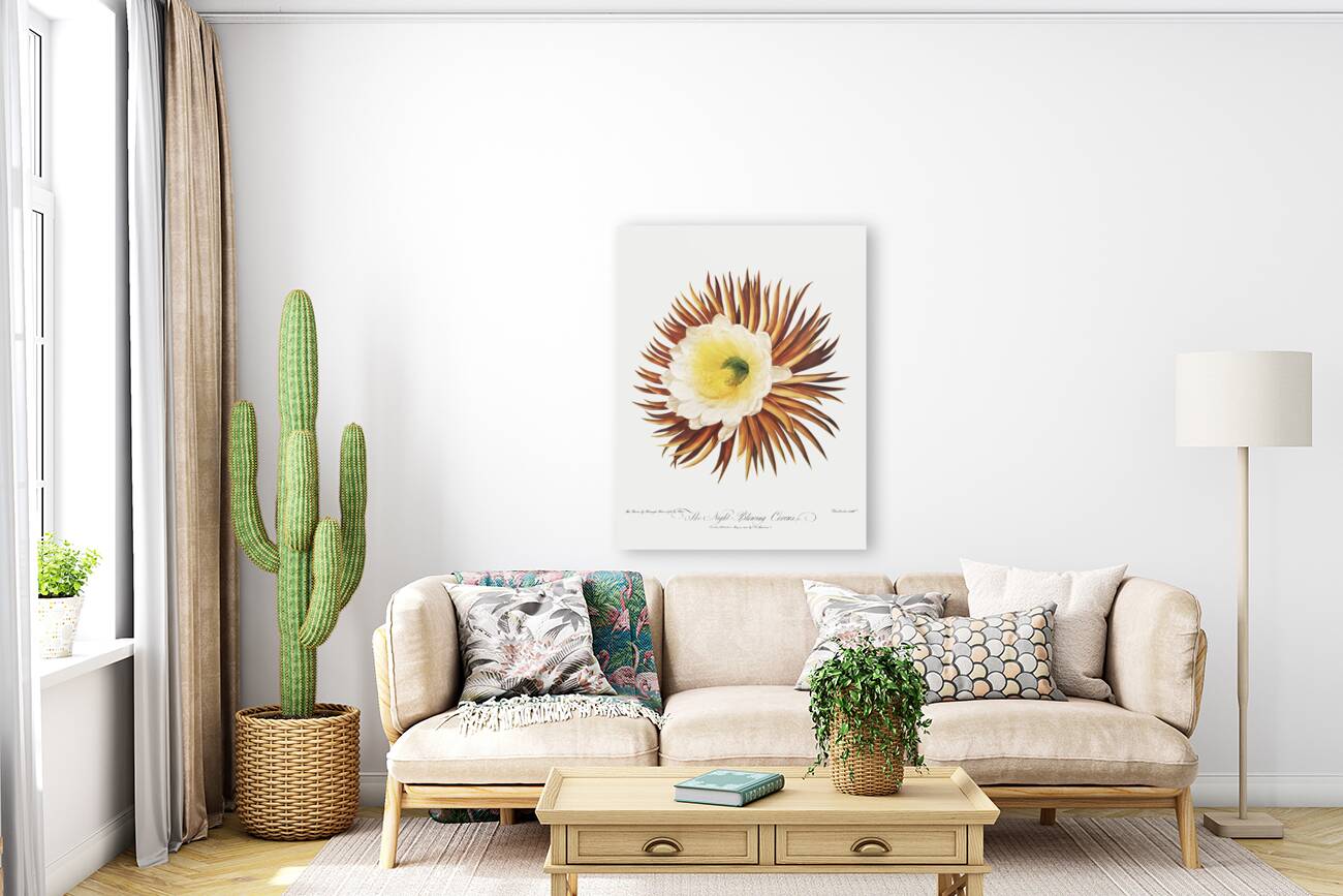 The Night–Blowing Cereus Reproduction