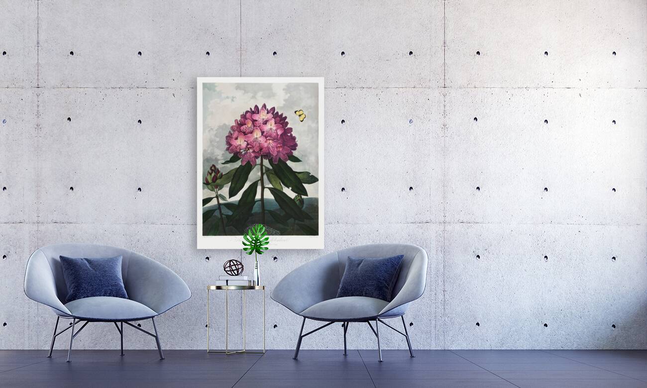 The Pontic Rhododendron Reproduction