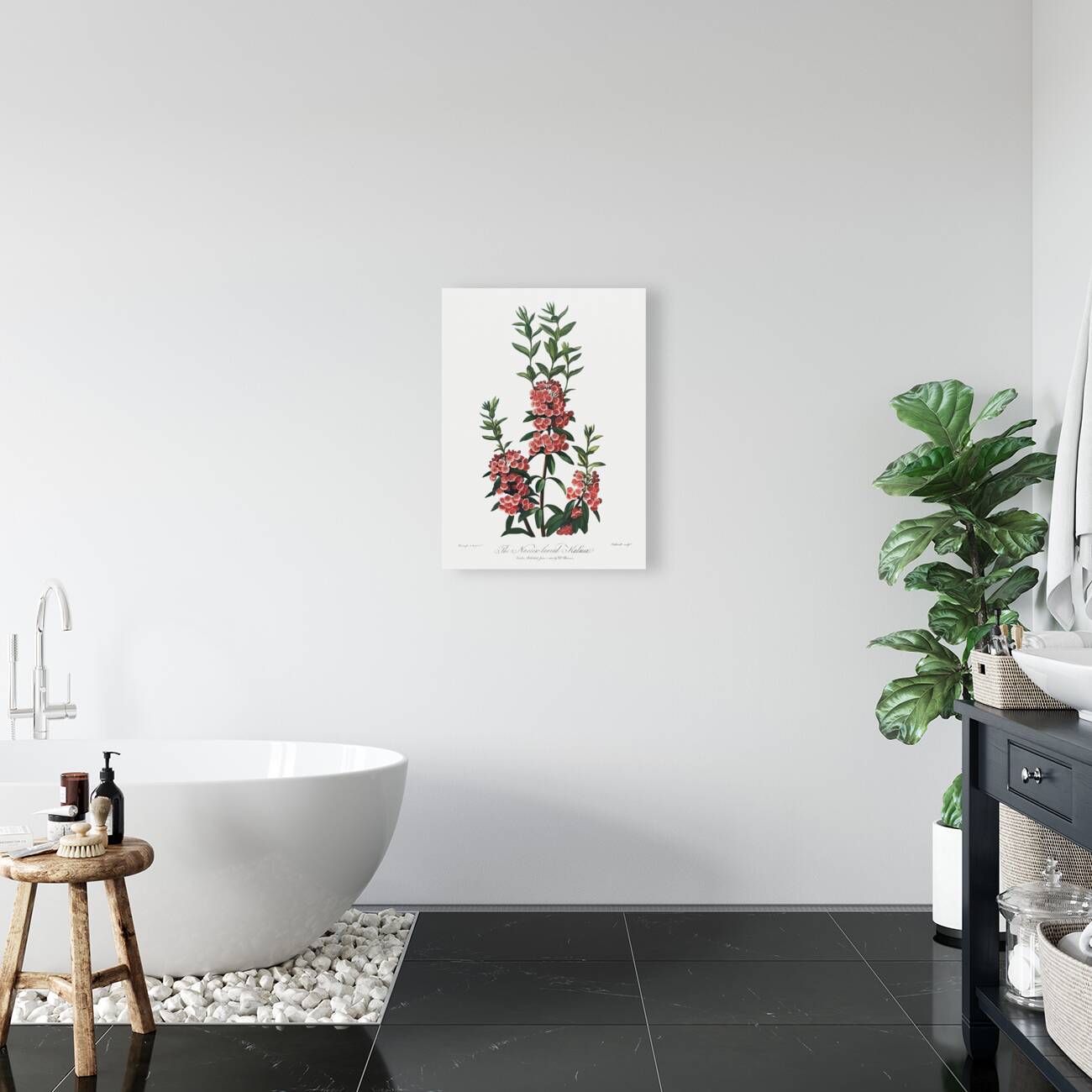 The Narrow–Leaved Kalmia Reproduction