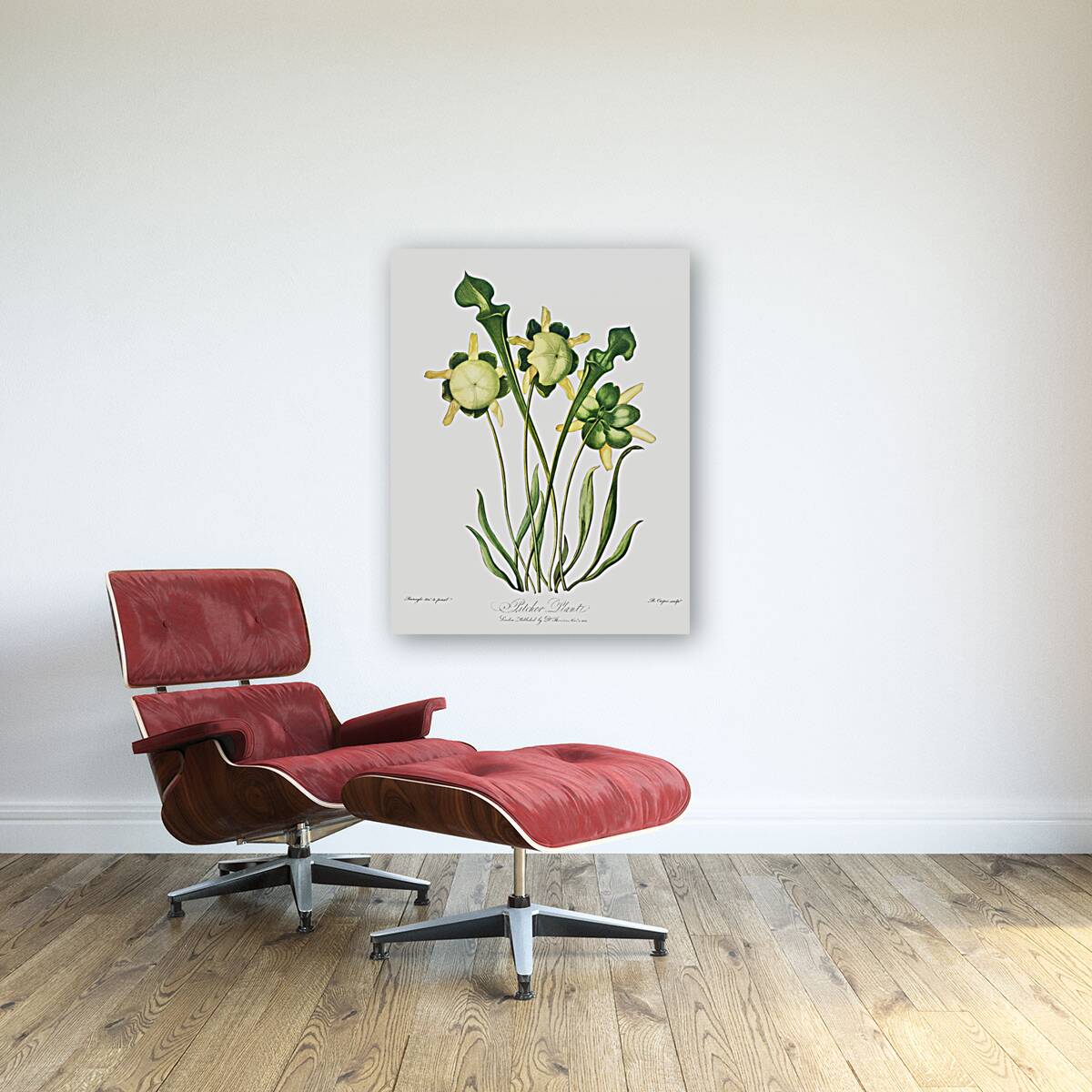 Pitcher Plant Reproduction