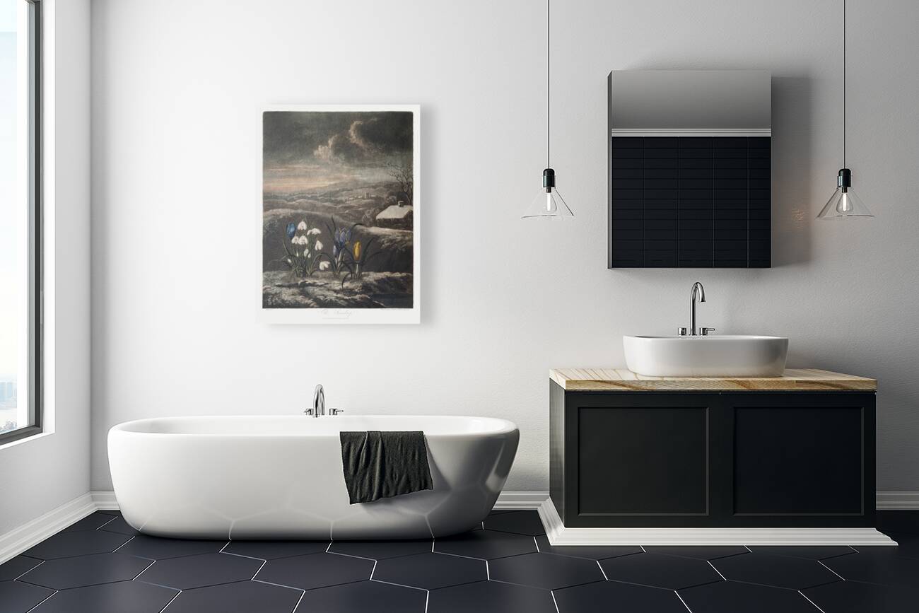 The Snowdrops Reproduction