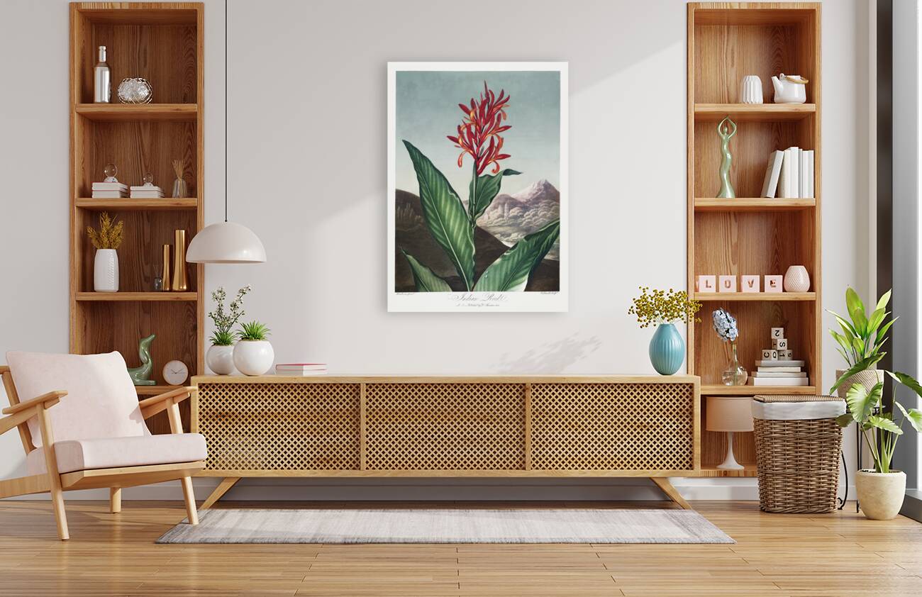 Indian Reed  Reproduction