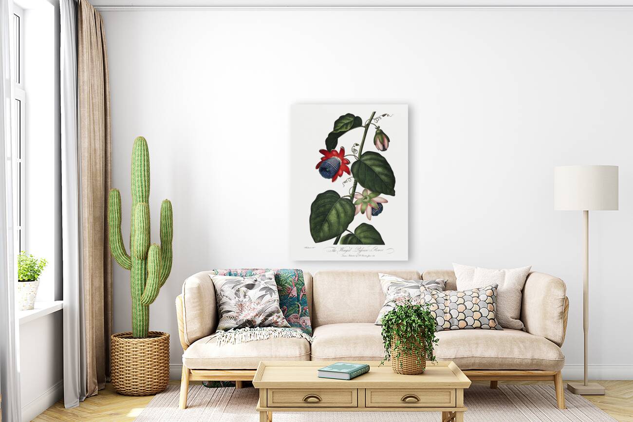 The Winged Passion-Flower Reproduction